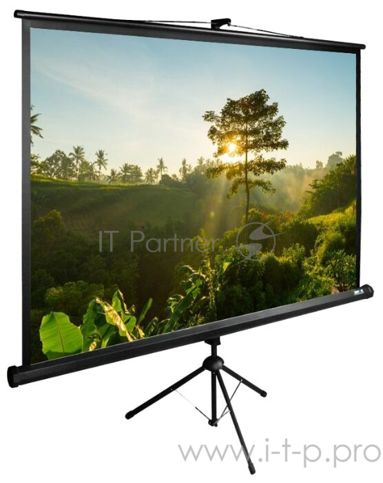 Экран Cactus 200x200см TriExpert CS-PSTE-200х200-BK 1:1 напольный рулонный