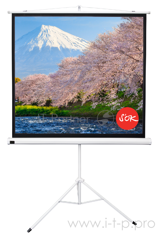 Экран 180x180см TriScreen 1:1 напольный рулонный белый 100' Matt White (MW), серый корпус