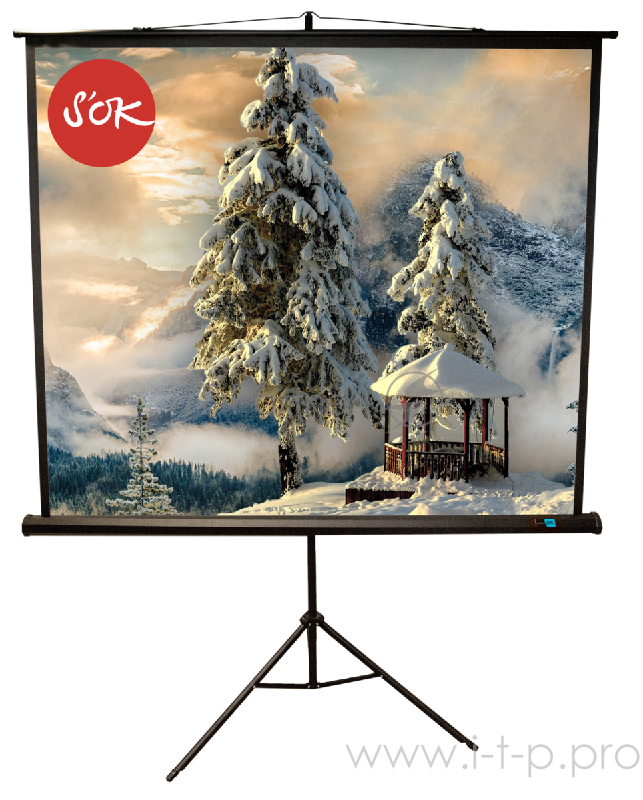 Экран 150x150см TriScreen 1:1 напольный рулонный белый 84' Matt White (MW), черный корпус