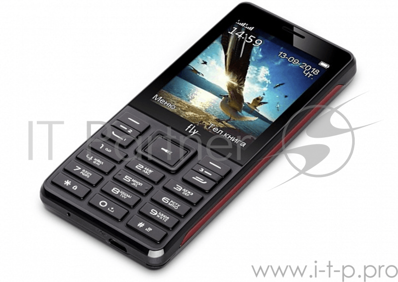 Телефон сотовый Fly TS114 Black, 2.8'' 240х320, 208MHz, 1 Core, 32MB RAM, 32MB, up to 16GB flash, 0.3Mpix, 3 Sim, 2G, BT v2.1, Micro-USB, 2800mAh, 135g, 130.1x56.5 x15.1