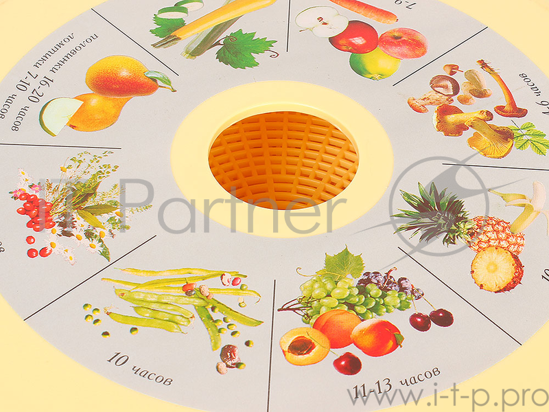 Сушилка для овощей и фруктов Суховей увеличенный с вентилятором, 8 поддонов