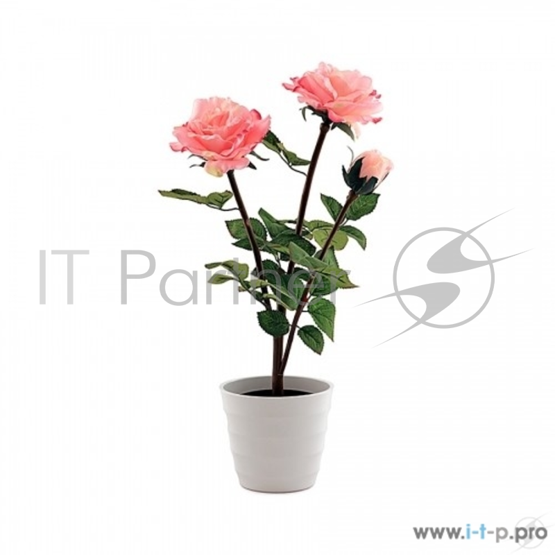 СТАРТ Декоративный светильник на светодиодах. 3 светодиода. LED роза3 розовый