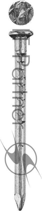 Зубр Гвозди