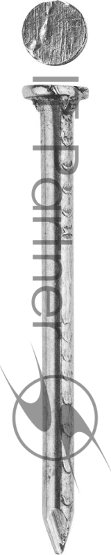 Зубр Гвозди