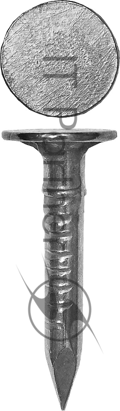 Зубр Гвозди оцинкованные с большой потайной головкой, по дереву/листовому металлу, 3,0x30мм, ТФ1, 500шт 4-305091-30-030