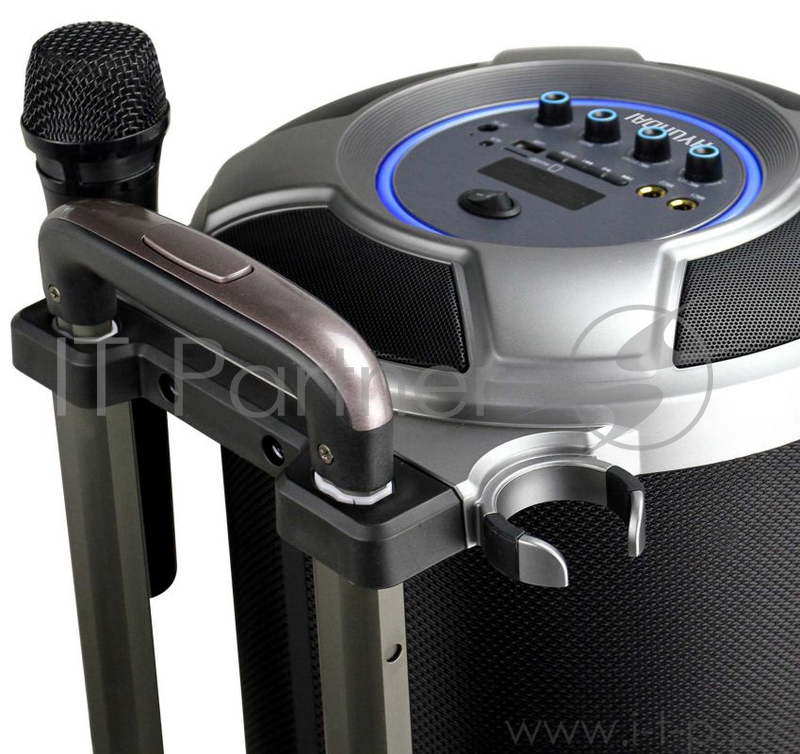 Минисистема Hyundai H-MC100 черный 50Вт/FM/USB/BT/SD/MMC