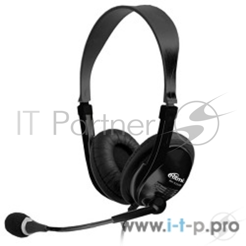 Гарнитура Ritmix RH-533 USB Black