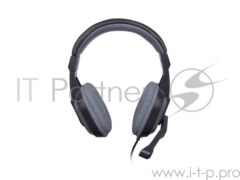 Гарнитура Ritmix RH-534M Gray