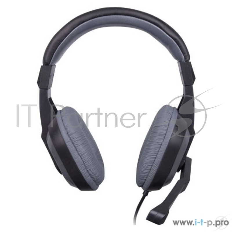 Гарнитура Ritmix RH-534M Gray