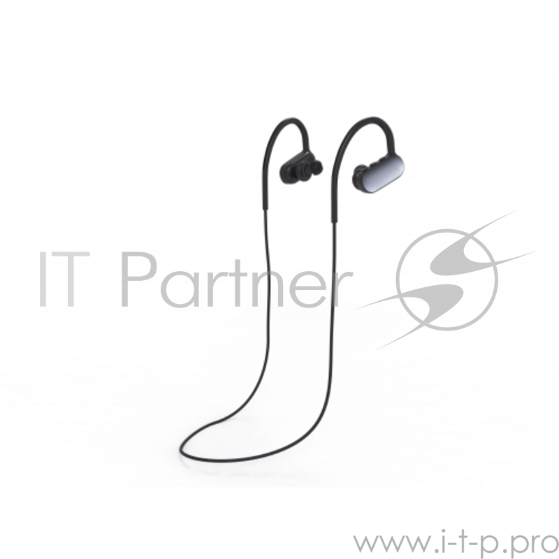 Наушники HARPER HB-302 black