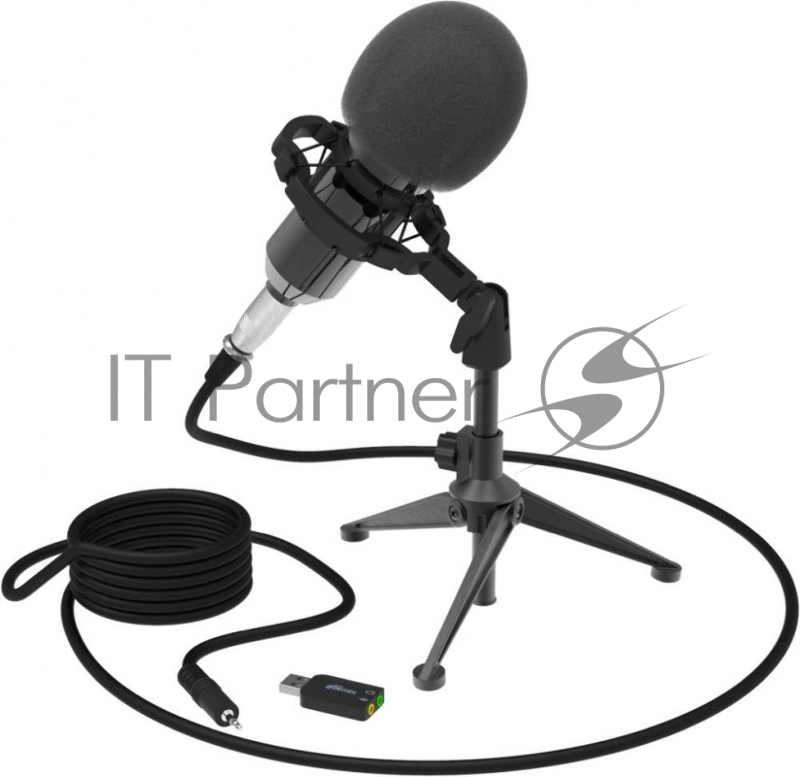 Микрофон RITMIX RDM-160 Black