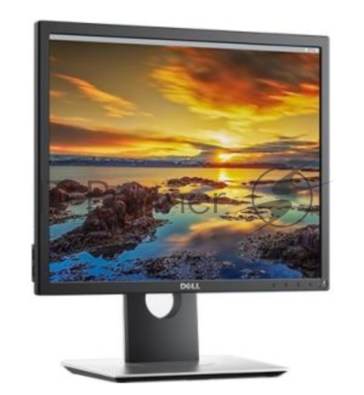 Монитор LCD Dell 19