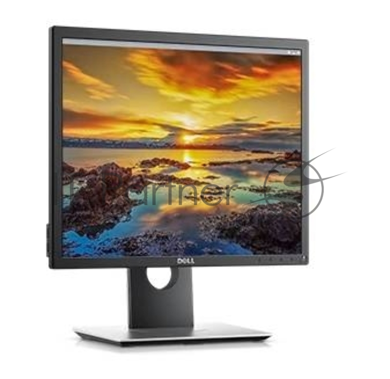 Монитор LCD Dell 19