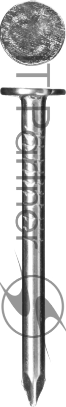 Зубр Гвозди