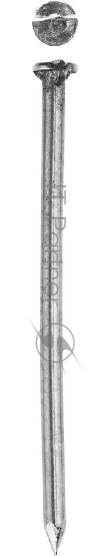 Зубр Гвозди