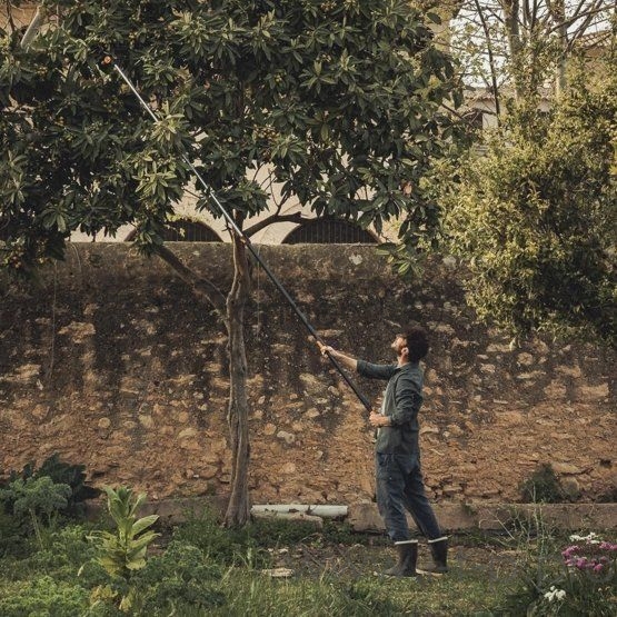 Телескопический садовый сучкорез FISKARS UPX86 1023624