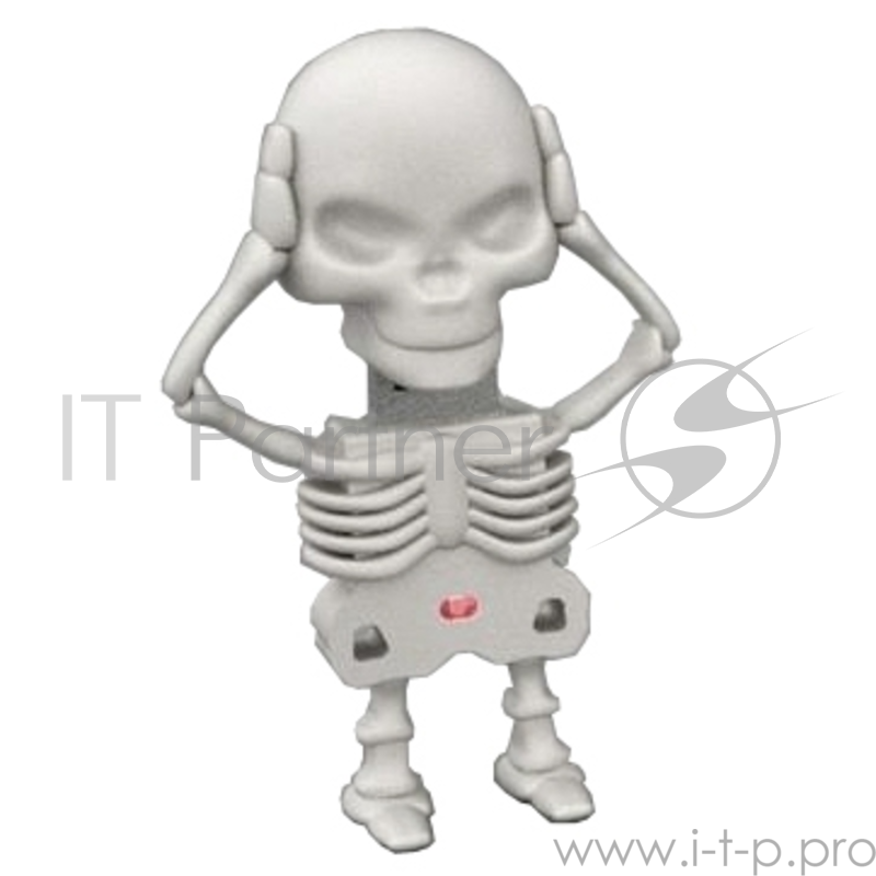 Внешний накопитель 16GB USB Drive <USB 2.0> ICONIK Скелетон