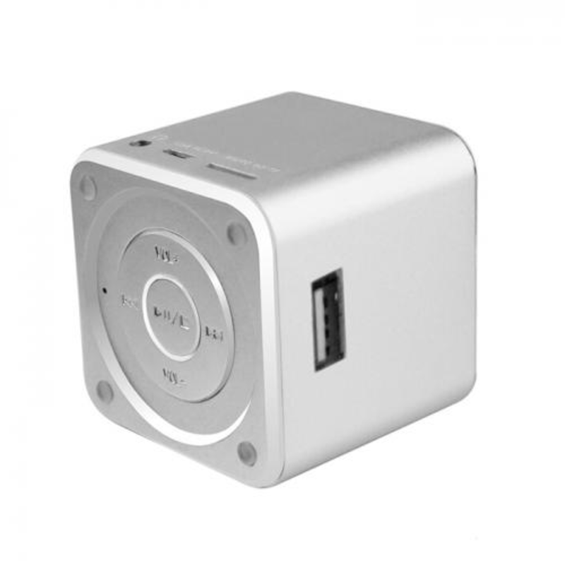 Колонка портативная ACD-SP101-SL (MP3 плеер) с аккумулятором, micro USB, USB, microSD, Line-In, FM, silver. {90}