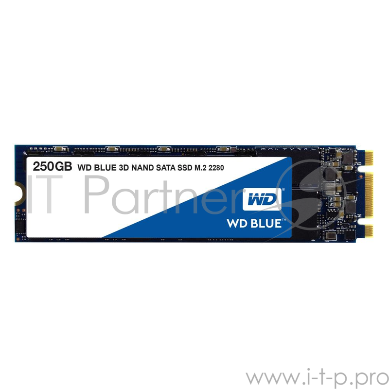 Твердотельный накопитель SSD M.2 250GB WD Blue (R525/W550Mb/s, TLC, SATA) (WDS250G2B0B)
