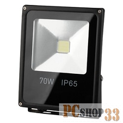 Прожекторы, светильники для уличного освещения ЭРА LPR-70-6500К-М (5/90)