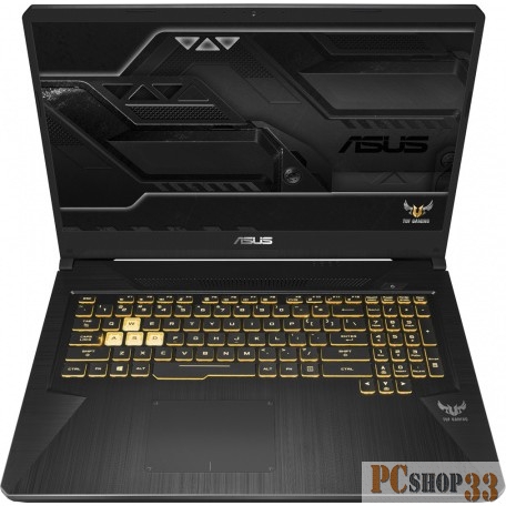 Ноутбук ASUS TUF FX705DU-AU024 17.3