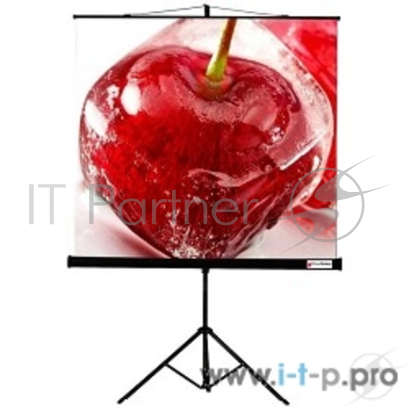 Экран ViewScreen Viewscreen Clamp TCL-1102 мобильный (1:1) 180*180 MW