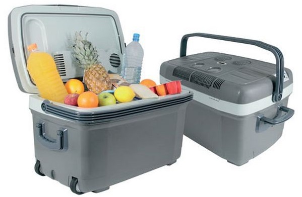 Автохолодильник Mystery MTC-451 45л 55Вт черный