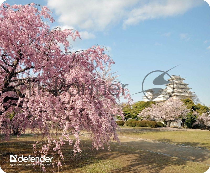 Коврики Defender Silk Pad Nature 10 видов 50707 Коврик для компьютерной мыши, 230x190x1.6 мм