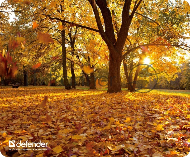 Коврики Defender Silk Pad Nature 10 видов 50707 Коврик для компьютерной мыши, 230x190x1.6 мм