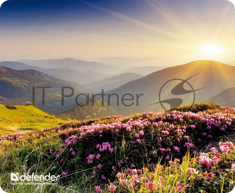Коврики Defender Silk Pad Nature 10 видов 50707 Коврик для компьютерной мыши, 230x190x1.6 мм