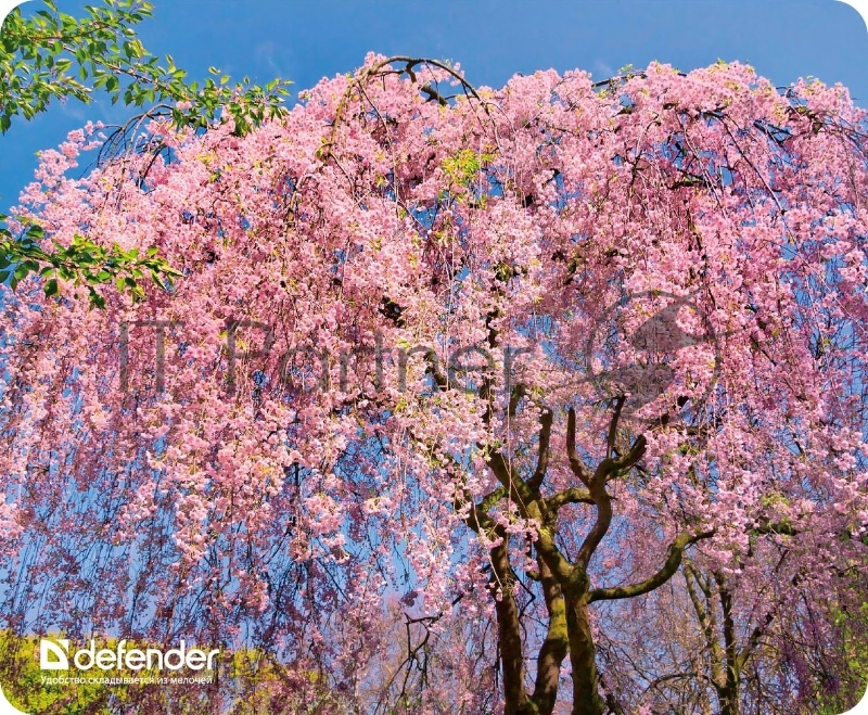 Коврики Defender Silk Pad Nature 10 видов 50707 Коврик для компьютерной мыши, 230x190x1.6 мм