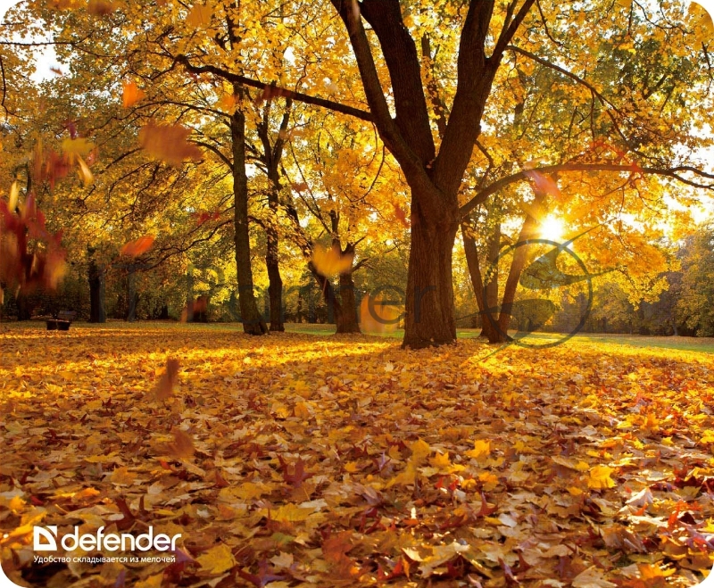 Коврики Defender Silk Pad Nature 10 видов 50707 Коврик для компьютерной мыши, 230x190x1.6 мм