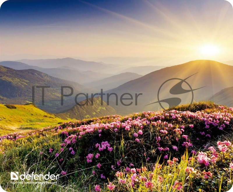 Коврики Defender Silk Pad Nature 10 видов 50707 Коврик для компьютерной мыши, 230x190x1.6 мм