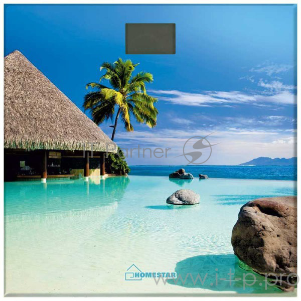 Весы напольные электронные HOMESTAR HS-6001H