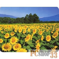 Коврики Коврик для мыши Buro BU-M20036 подсолнухи 817310