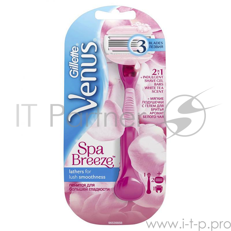 GILLETTE - VNS 81568969