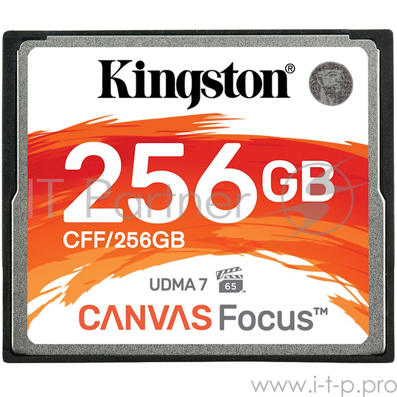 Флеш карта CFF/256GB