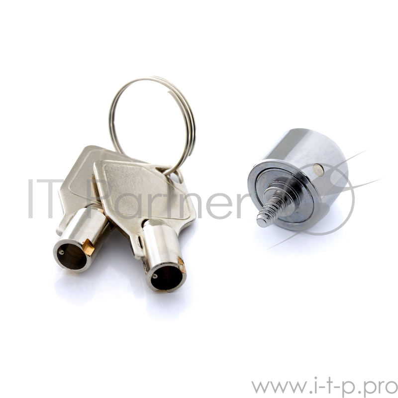 Винт-замок Exegate для боковой стенки корпуса EX269459RUS