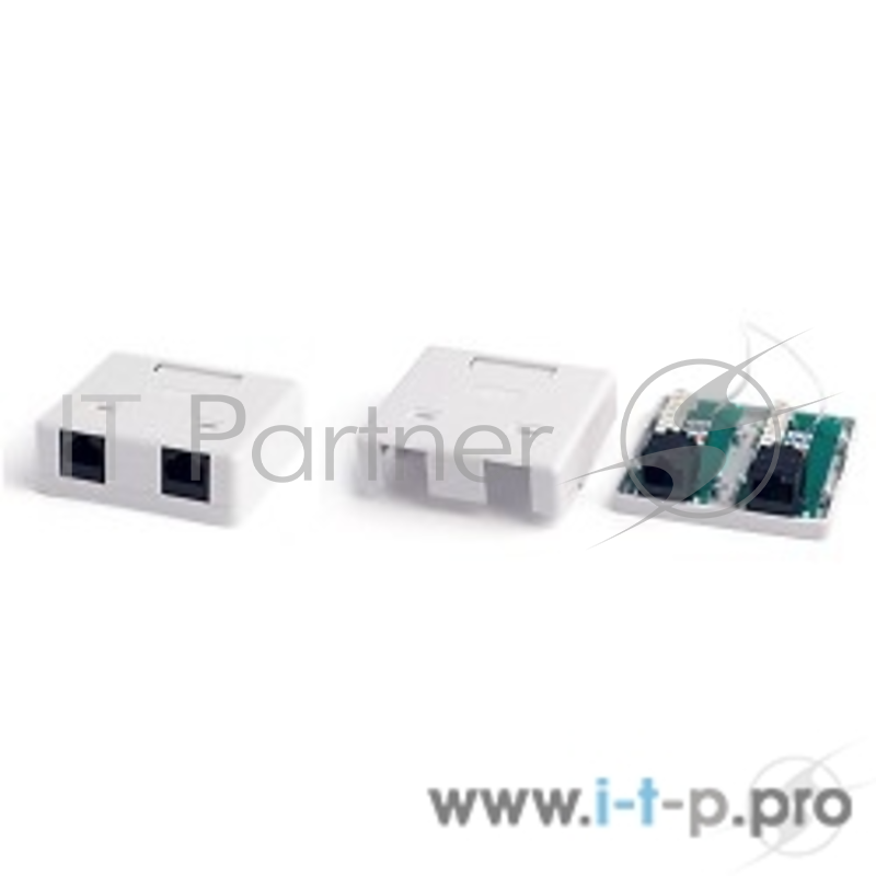 Монтажное оборудование Hyperline SB2-2-8P8C-C5e-SH-WH Розетка компьютерная RJ-45(8P8C), категория 5e, экранированная, двойная, внешняя, Dual IDC(110&Krone type)