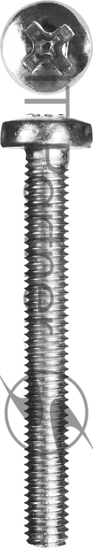 Винт ЗУБР DIN 7985 M5 x 45 мм 5 кг кл. пр. 4.8 оцинк. 303150-05-045