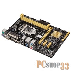 {LGA1150,H81,DDR3,PCI-E,SATAII
