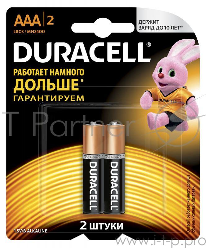 Батарея Duracell Basic CN LR03-2BL AAA (2шт)