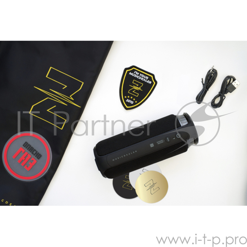 Портативная акустика Z MusicDealer Medium Rare Dark Grey