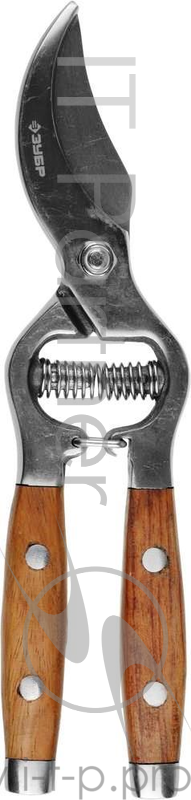 Секатор ЗУБР 40100 ''эксперт'' из нержавеющей стали с деревянными ручками 210мм