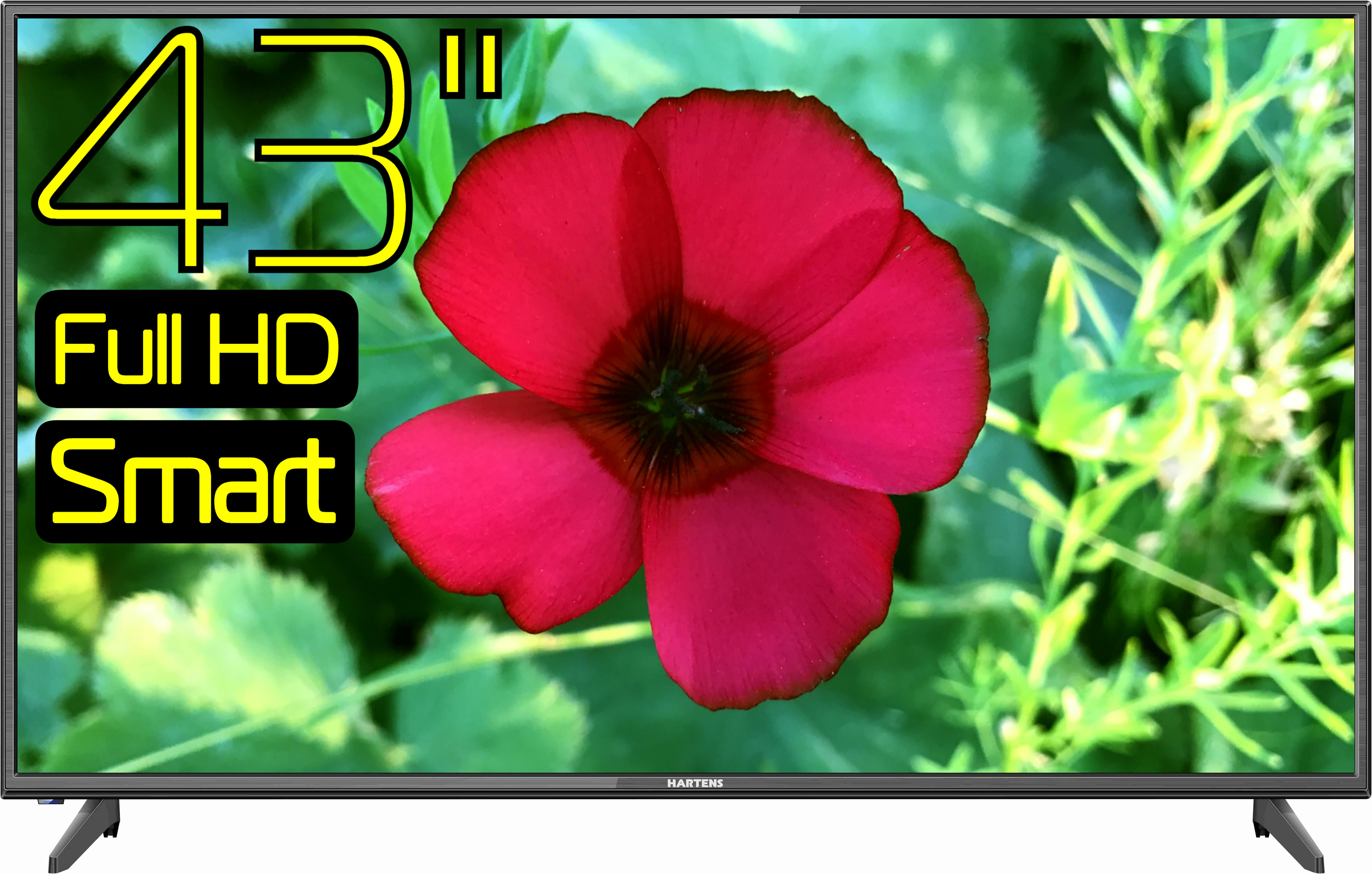 Телевизор LED 43 Hartens HTV-43F011B-T2/PVR/S черный