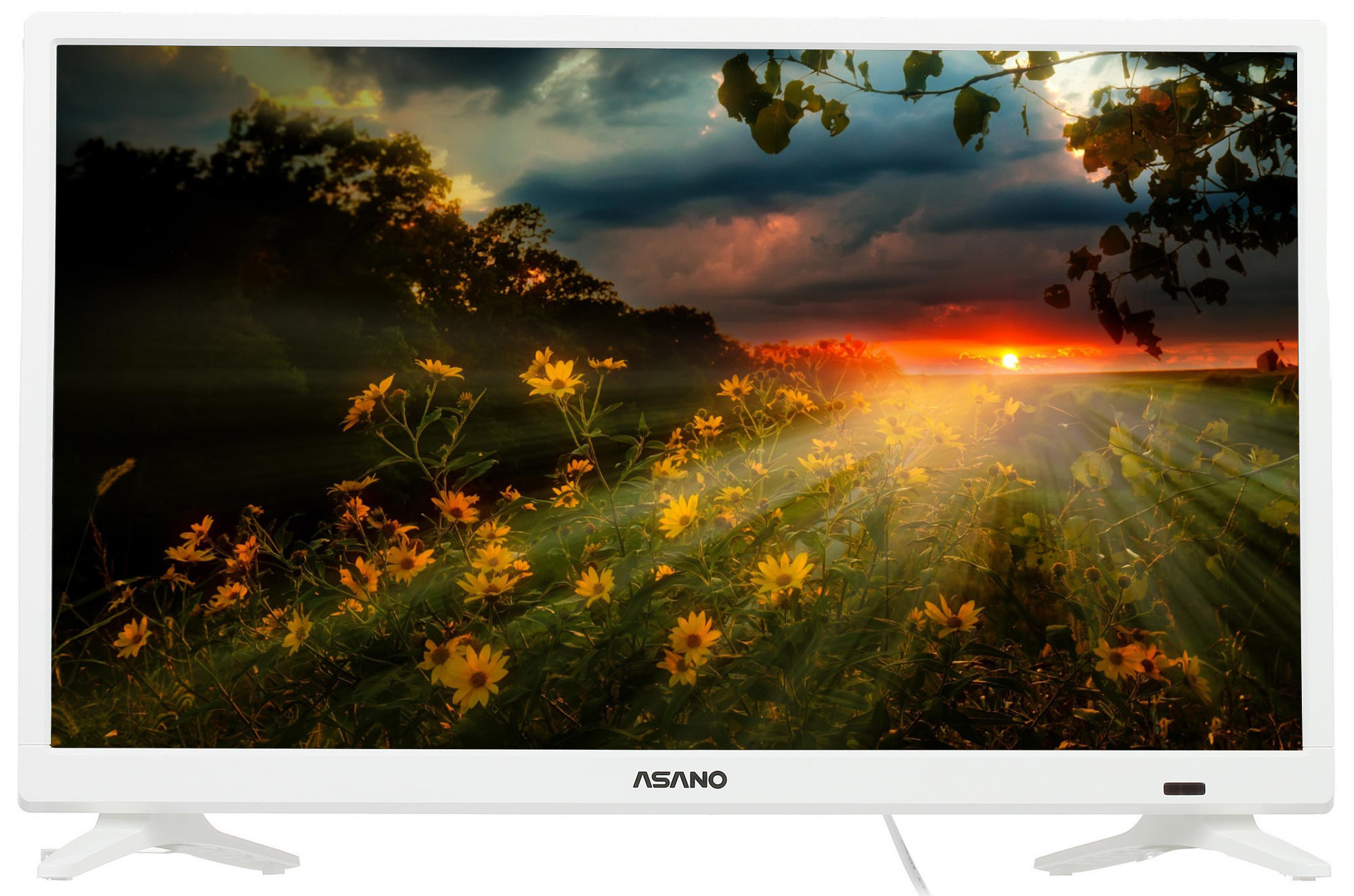 Телевизор Asano 24LH1011T TV белый