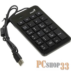 Клавиатура цифровой блок Genius NumPad i120 USB
