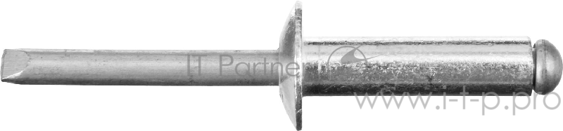 Заклепки STAYER Professional PROFIX 6.4х22мм 200шт алюминиевые