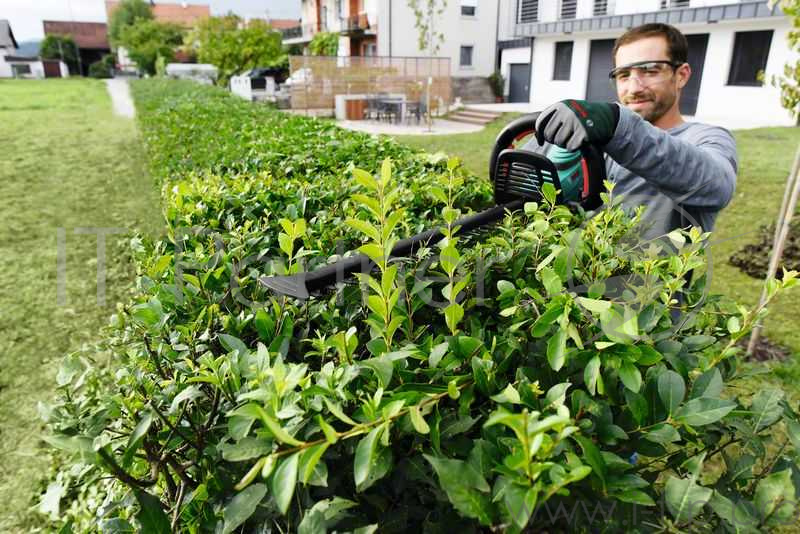 Кусторез аккумуляторный Bosch AHS 50-20 LI 0600849F02 без АКБ и ЗУ