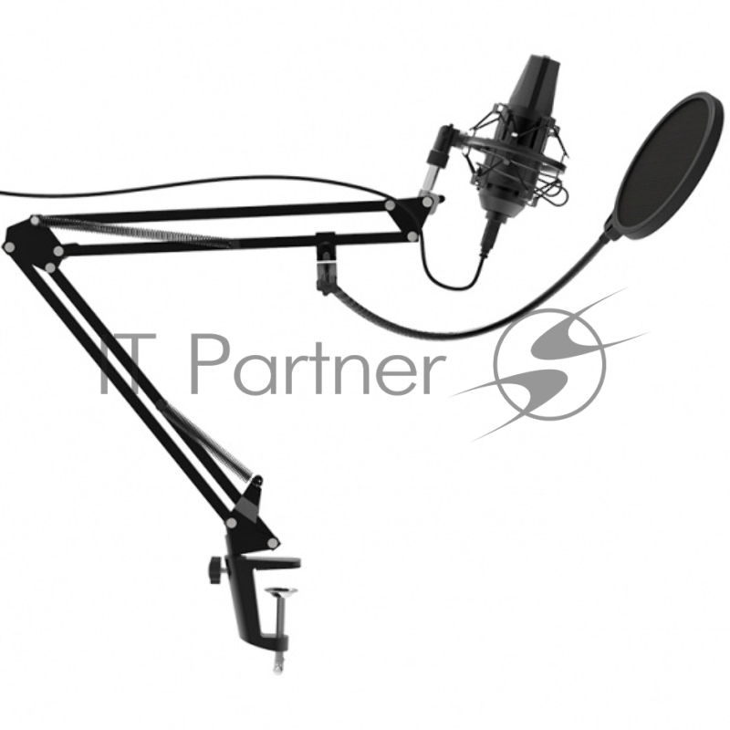 Микрофон RITMIX RDM-180 Black